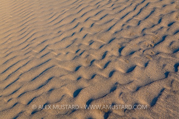 Sand Ribbles On Beach, UK