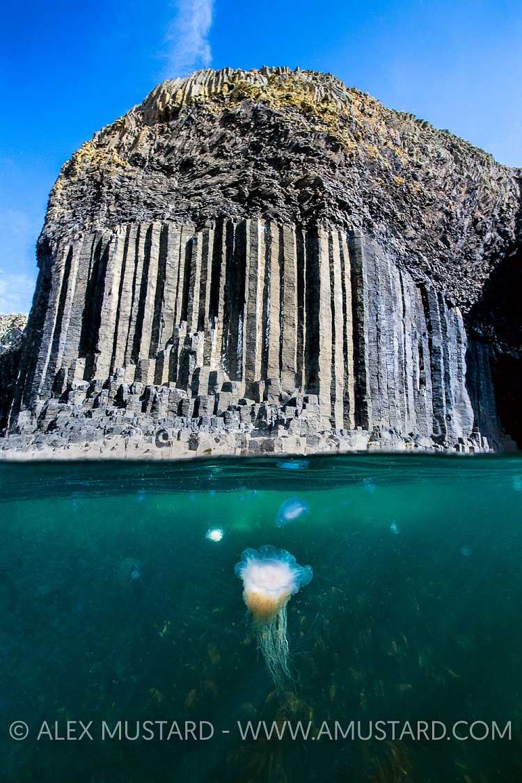 Jellyfish At Fingal's Cave, UK