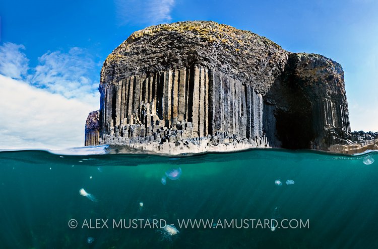 Jellyfish And Basalt Columns, Staffa, UK