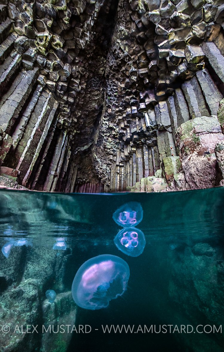 Jellies In Fingal's Cave, UK