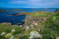A Puffin With A View, UK