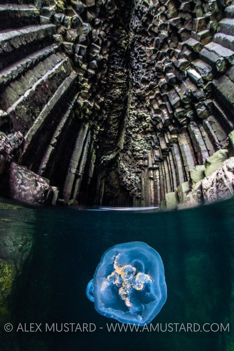 Jelly In Fingal's Cave, UK