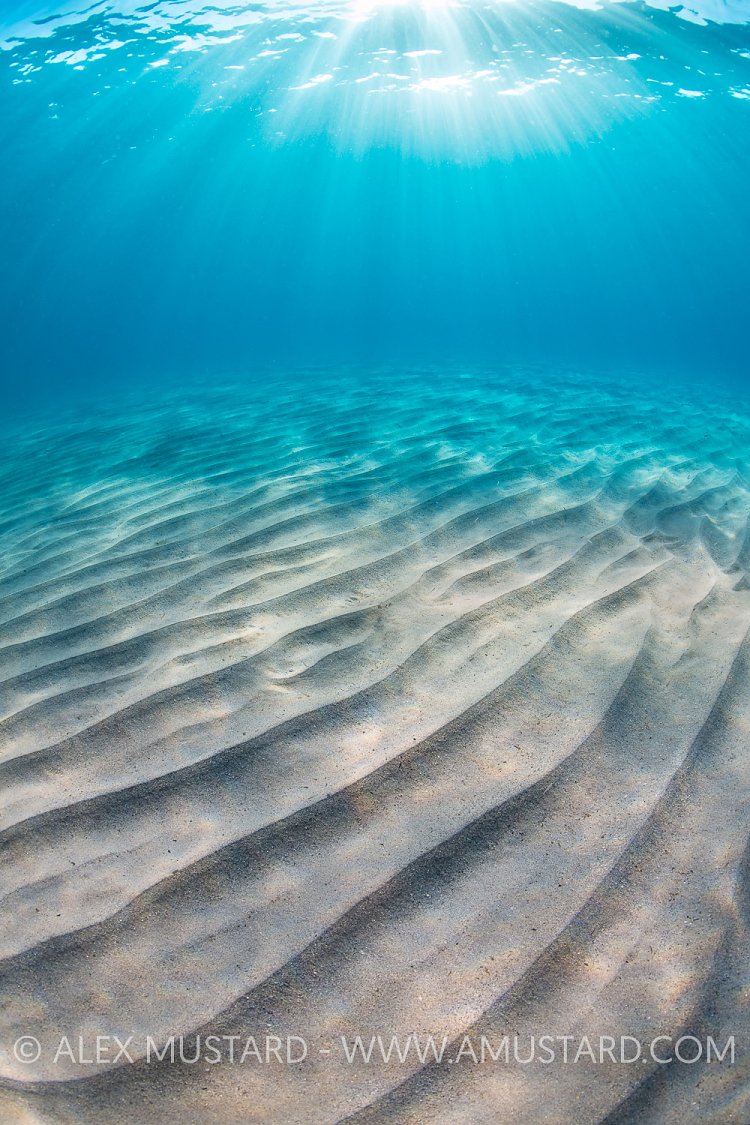 Sand Ripple And Sun Rays, Italy