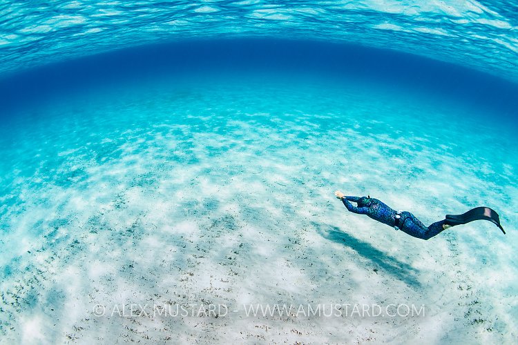 Freediver In Shallows, Italy