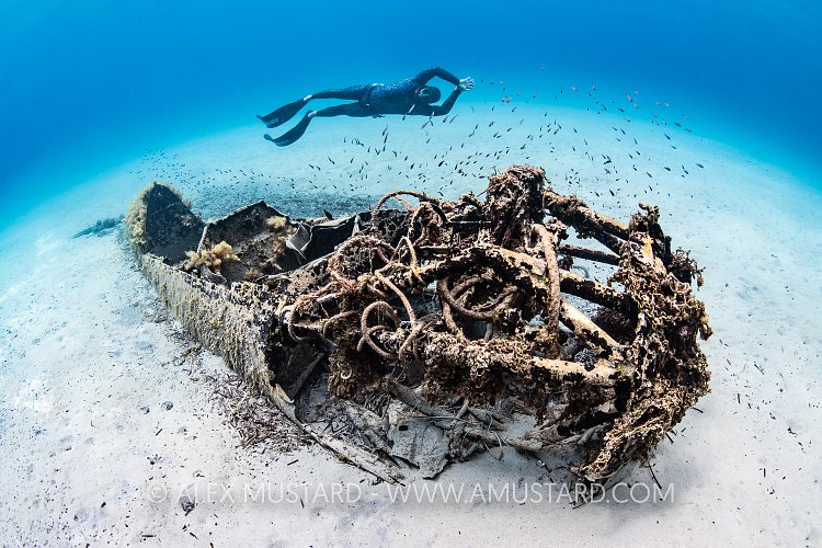 Freediver WIth Plane Wreck, Italy