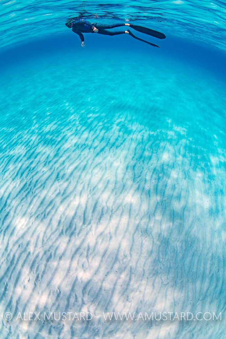 Freediver At Surface, Italy