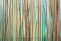 Bootlace Seaweed Patterns, UK