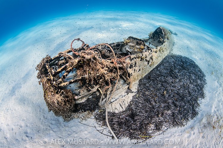 Plane Wreck In Sand, Italy