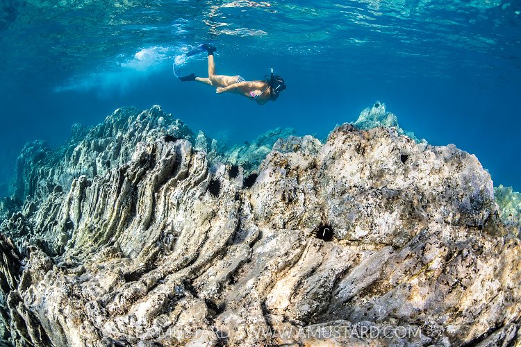 Snorkelling Over Rock Formations, Italy