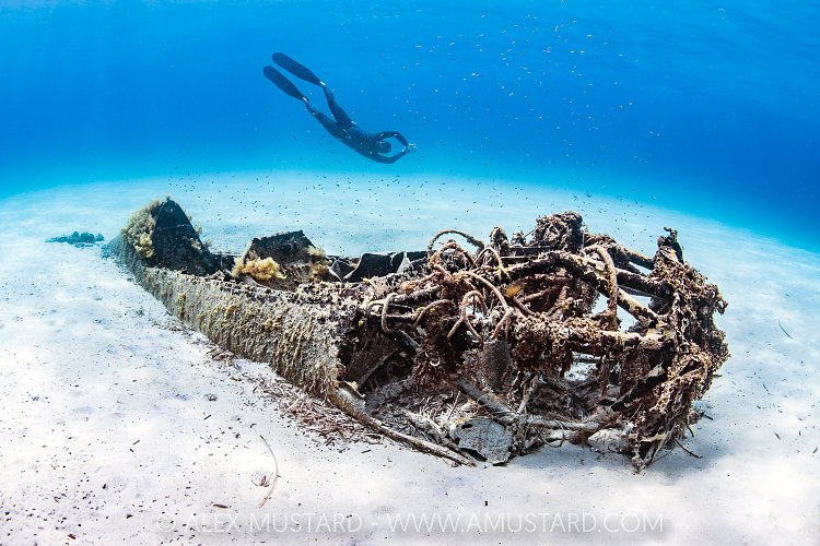 Freediving With Plane, Sardinia