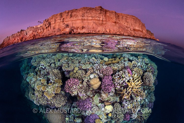 Sunset Split Level, Egypt