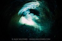 Black Jack Art, Cayman Islands