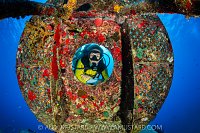 Diver Explores Kittiwake Wreck, Cayman Islands