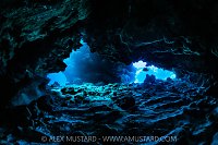 Coral Reef Caverns, Cayman Islands