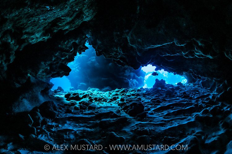 Coral Reef Caverns, Cayman Islands