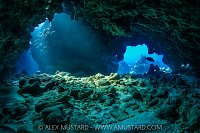 Coral Reef Caverns, Cayman Islands