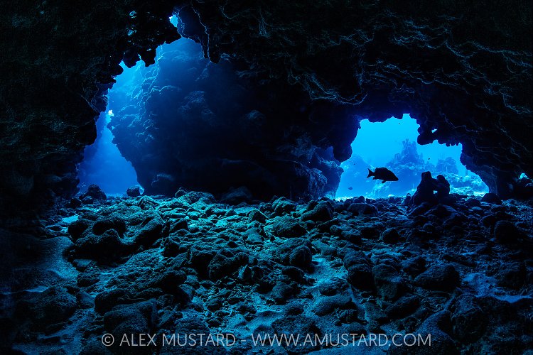 Coral Reef Caverns, Cayman Islands