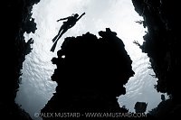 Exploring The Reef, Cayman Islands