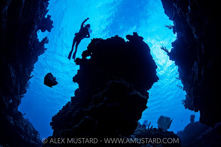 Exploring The Reef, Cayman Islands