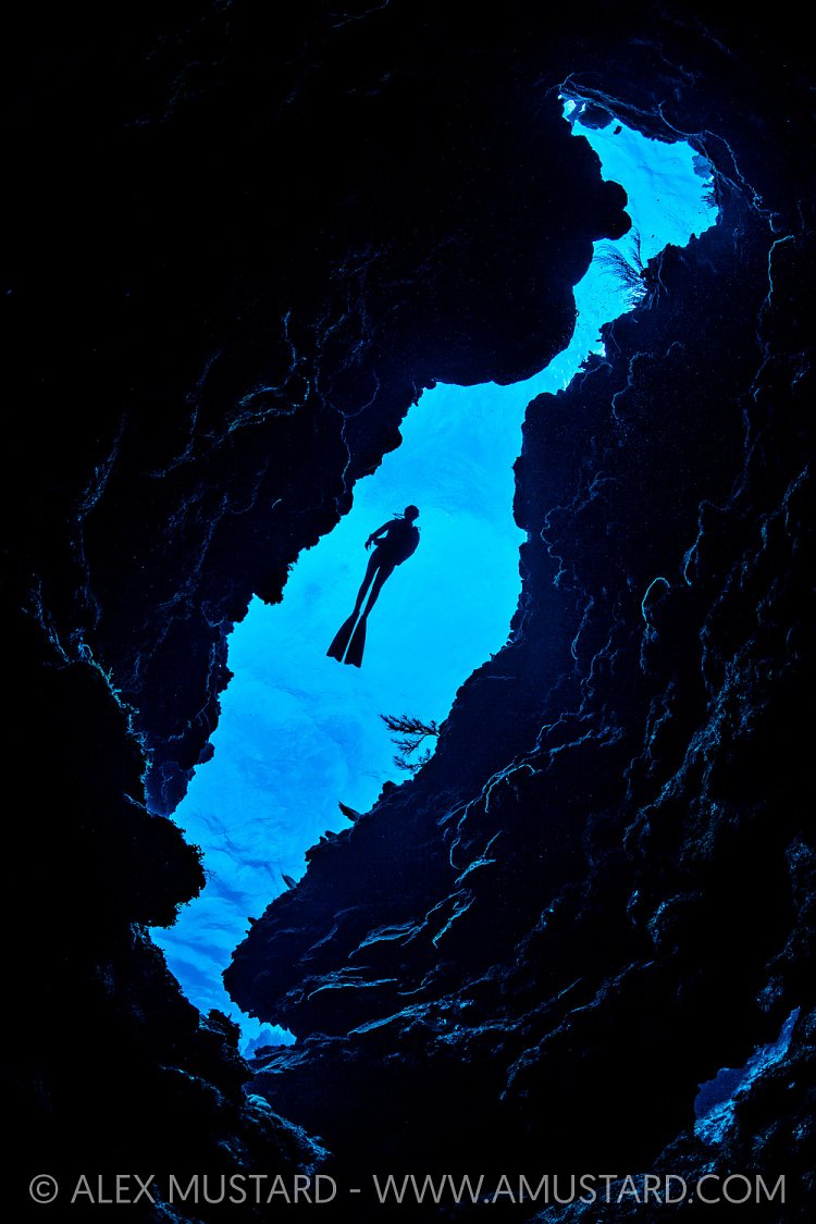 Diver Above Coral Canyon, Cayman Islands
