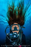 Good Hair Day, Cayman Islands