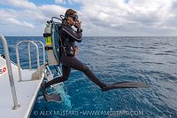 Giant Stride, Cayman Islands