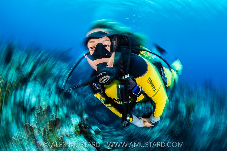 Diver Spin, Cayman Islands