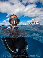 Diver At The Surface, Cayman Islands