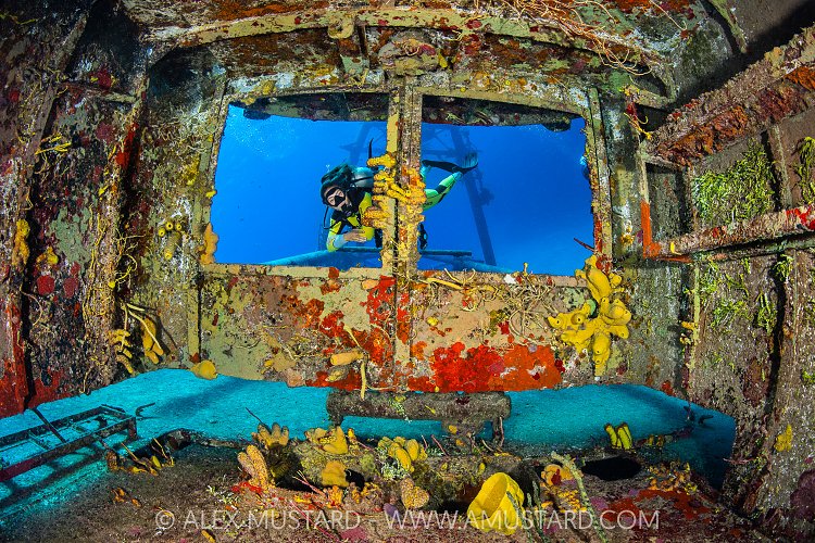 Diver Explores Kittiwake Wreck, Cayman Islands