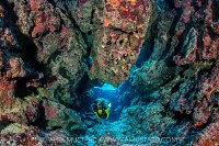 Exploring Caverns On Coral Reef, Cayman Islands