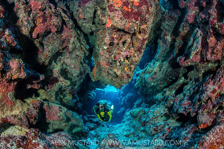 Exploring Caverns On Coral Reef, Cayman Islands