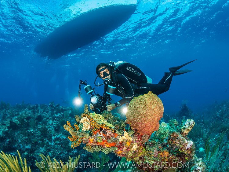 Filming The Reef, Cayman Islands