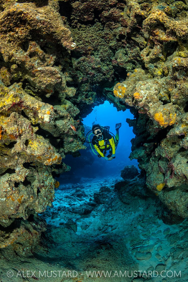 Diver Explores Caverns, Cayman Islands