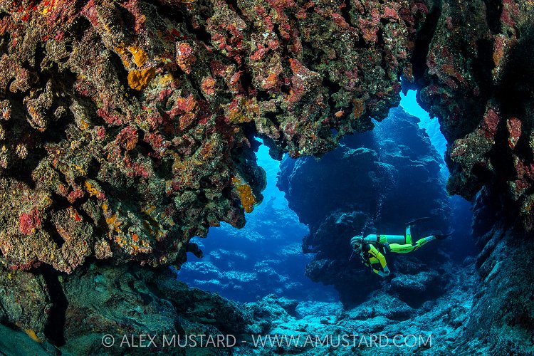 Diver Explores Caverns, Cayman Islands