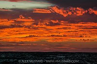 Sunset Over The Sea, Mexico