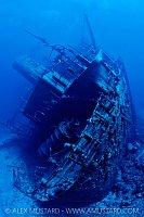 Giannis D Stern, Egypt