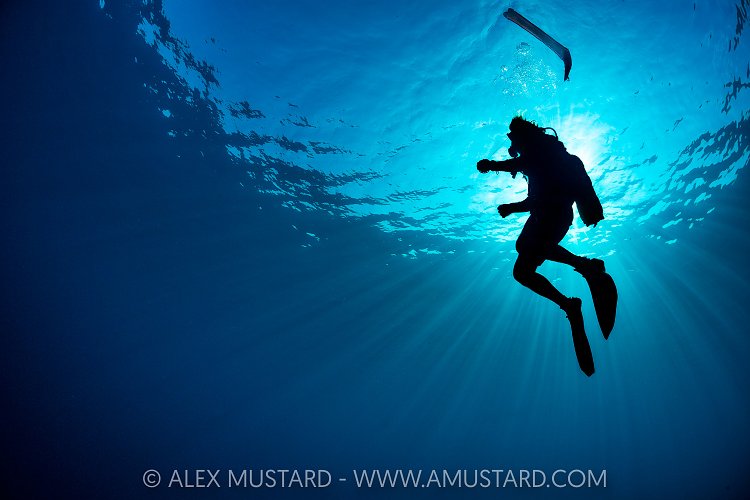 Safety Stop, Maldives