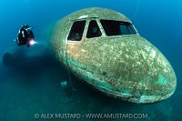 Diver And Plane Wreck. Capernwray, UK