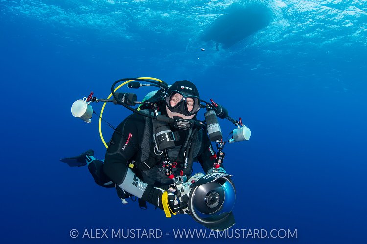 Alex Mustard, Socorro, Mexico