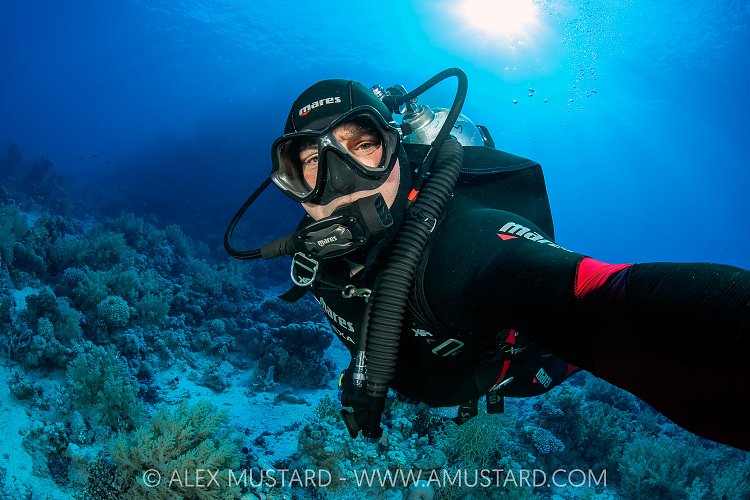 Self Portrait, Alex Mustard, Egypt