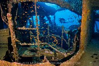 Exploring the Wreck, Egypt
