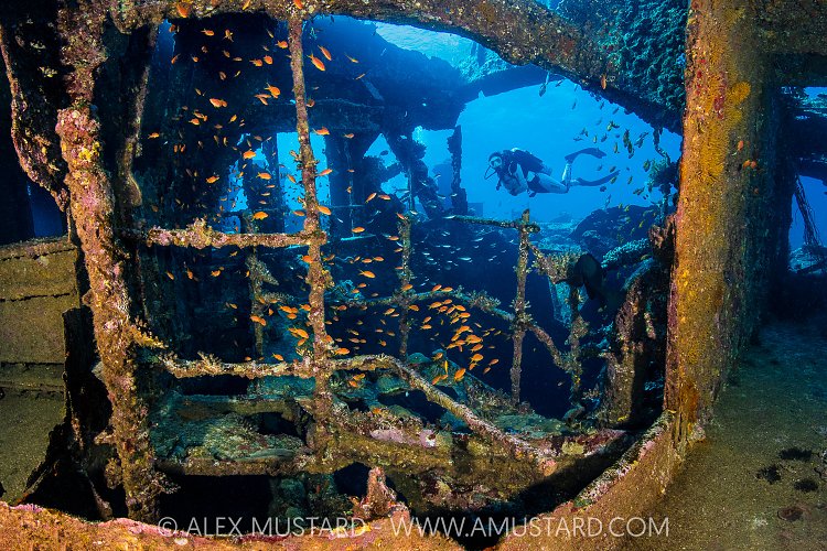 Exploring the Wreck, Egypt