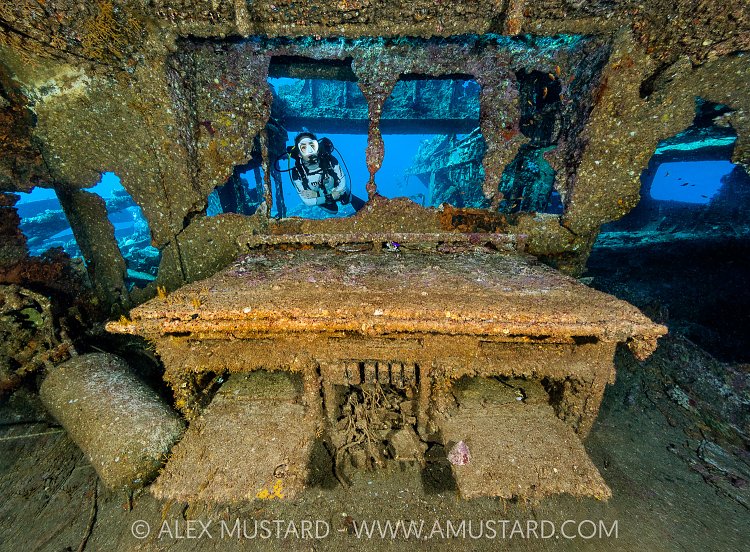 Chrisoula K Cooker, Egypt