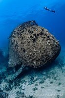 Chrisoula K Stern With Diver, Egypt