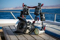 Underwater Camera, Egypt