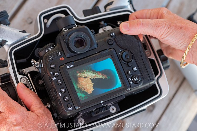 Camera In Housing, Egypt