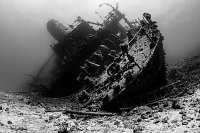 Giannis D Stern, Egypt