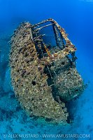 Chrisoula K Stern, Egypt