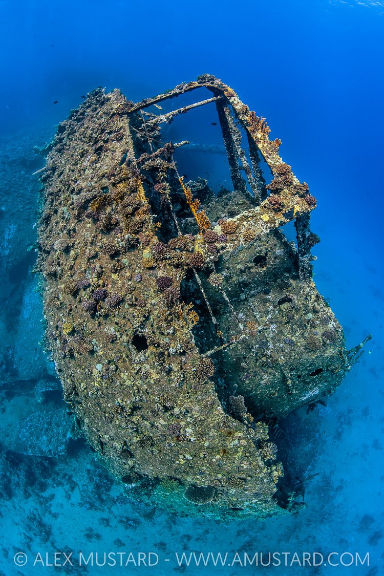 Chrisoula K Stern, Egypt