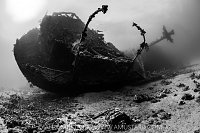 Chrisoula K Stern, Egypt